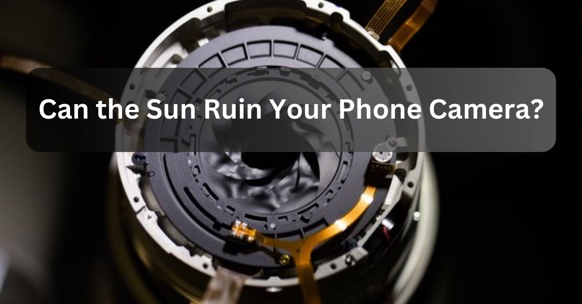 Can the Sun Ruin Your Phone Camera?